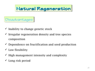 Natural RegenerationNatural RegenerationNatural RegenerationNatural Regeneration
 Inability to change genetic stock
 Irregular regeneration density and tree species
composition
 Dependence on fructification and seed production
 Low flexibility
 High management intensity and complexity
 Long risk period
27
DisadvantagesDisadvantages
 