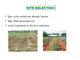  Spp. to be raised are already known
 Spp. With particular use
 Local vegetation is the best indicator
32
SITE SELECTIONSITE SELECTIONSITE SELECTIONSITE SELECTION
 