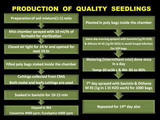 PRODUCTION OF QUALITY SEEDLINGS
 