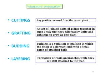• CUTTINGS
• GRAFTING
• BUDDING
• LAYERING
42
Vegetative propagationVegetative propagation
Any portion removed from the parent plant
An art of joining parts of plants together in
such a way that they will readily unite and
continue to grow as one plant
Budding is a variation of grafting in which
the scion is a dormant bud with a small
patch of attached bark
Formation of roots on branches while they
are still attached to the tree
 