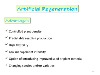 Artificial RegenerationArtificial Regeneration
 Controlled plant density
 Predictable seedling production
 High flexibility
 Low management intensity
 Option of introducing improved seed or plant material
 Changing species and/or varieties
47
AdvantagesAdvantages
 