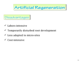 Artificial RegenerationArtificial Regeneration
 Labors-intensive
 Temporarily disturbed root development
 Less adapted to micro-sites
 Cost-intensive
48
DisadvantagesDisadvantages
 