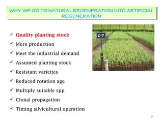  Quality planting stock
 More production
 Meet the industrial demand
 Assumed planting stock
 Resistant varieties
 Reduced rotation age
 Multiply suitable spp
 Clonal propagation
 Timing silvicultural operation
49
WHY WE GO TO NATURAL REGENERATION INTO ARTIFICIAL
REGENERATION
WHY WE GO TO NATURAL REGENERATION INTO ARTIFICIAL
REGENERATION
 