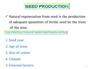  Natural regeneration from seed is the production
of adequate quantities of fertile seed by the trees
of the area.
1. Seed year
2. Age of trees
3. Size of crown
4. Climate
5. External factors 6
SEED PRODUCTIONSEED PRODUCTIONSEED PRODUCTIONSEED PRODUCTION
THE PRODUCTION OF SEED DEPENDS UPONTHE PRODUCTION OF SEED DEPENDS UPON
 