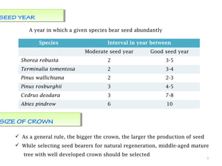7
SEED YEARSEED YEAR
A year in which a given species bear seed abundantly
Species Interval in year between
Moderate seed year Good seed year
Shorea robusta 2 3-5
Terminalia tomentosa 2 3-4
Pinus wallichiana 2 2-3
Pinus roxburghii 3 4-5
Cedrus deodara 3 7-8
Abies pindrow 6 10
SIZE OF CROWNSIZE OF CROWN
 As a general rule, the bigger the crown, the larger the production of seed
 While selecting seed bearers for natural regeneration, middle-aged mature
tree with well developed crown should be selected
 