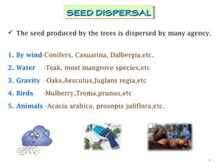  The seed produced by the trees is dispersed by many agency.
1. By wind-Conifers, Casuarina, Dalbergia,etc.
2. Water -Teak, most mangrove species,etc
3. Gravity -Oaks,Aesculus,Juglans regia,etc
4. Birds -Mulberry,Trema,prunus,etc
5. Animals -Acacia arabica, prosopis juliflora,etc.
9
SEED DISPERSALSEED DISPERSALSEED DISPERSALSEED DISPERSAL
 