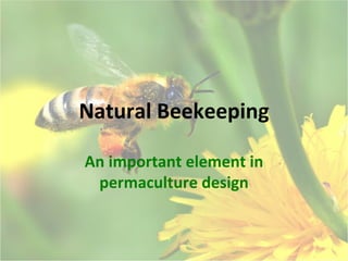 Natural Beekeeping

An important element in
 permaculture design
 