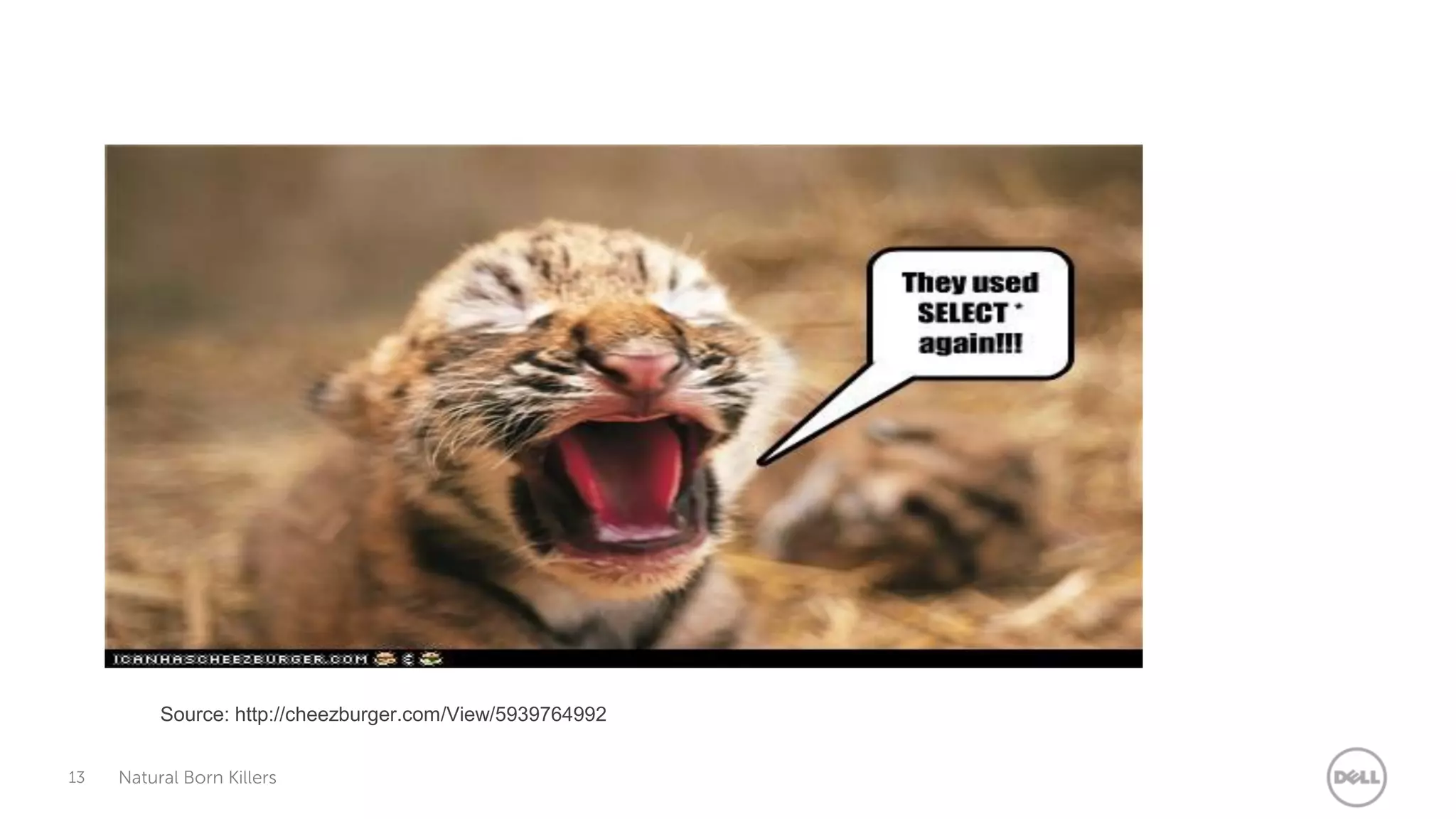 Source: http://cheezburger.com/View/5939764992


13   Natural Born Killers
 