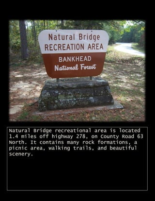 Natural Bridge recreational area is located
1.4 miles off highway 278, on County Road 63
North. It contains many rock formations, a
picnic area, walking trails, and beautiful
scenery.
 
