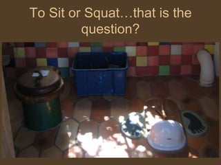 To Sit or Squat…that is the question?