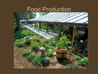 Food Production#6  Food Production