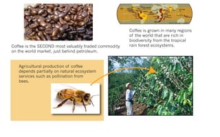 Coffee is grown in many regions
                                                      of the world that are rich in
                                                      biodiversity from the tropical
Coffee is the SECOND most valuably traded commodity   rain forest ecosystems.
on the world market, just behind petroleum.


   Agricultural production of coffee
   depends partially on natural ecosystem
   services such as pollination from
   bees.
 