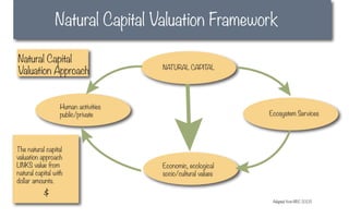 Natural Capital Valuation Framework

Natural Capital
                                     NATURAL CAPITAL
Valuation Approach


                  Human activities
                  public/private                             Ecosystem Services




The natural capital
valuation approach
LINKS value from                     Economic, ecological
natural capital with                 socio/cultural values
dollar amounts.

           $
                                                              Adapted from NRC 2005
 