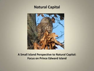 Natural Capital




A Small Island Perspective to Natural Capital:
       Focus on Prince Edward Island
 