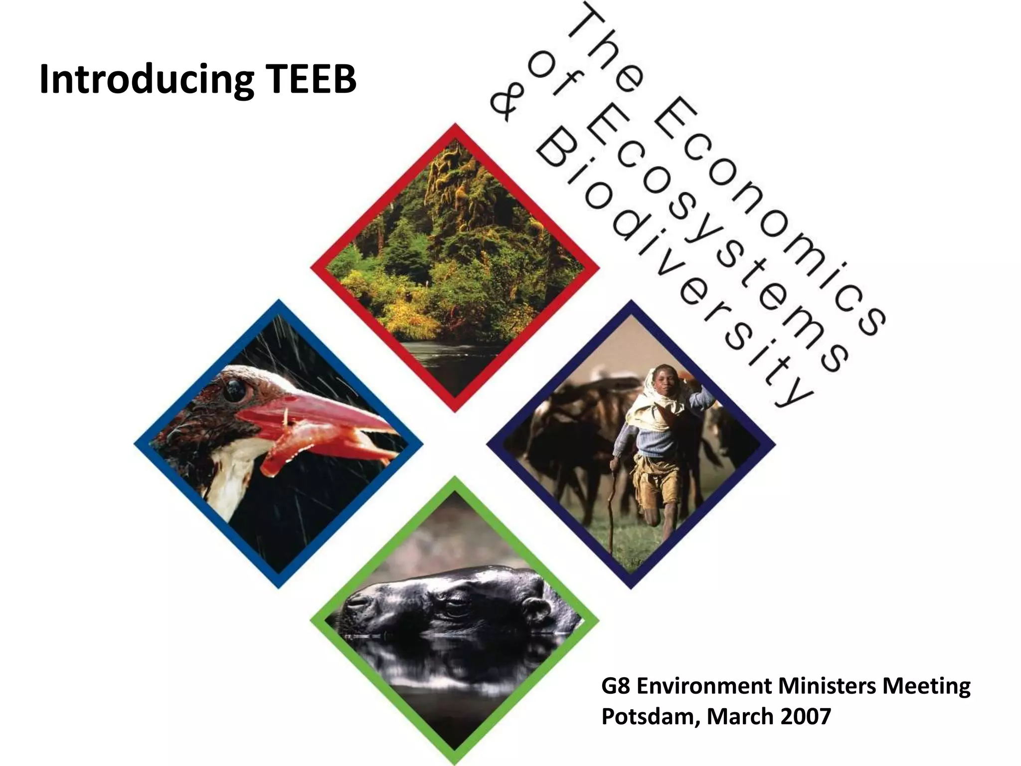 Introducing TEEB
G8 Environment Ministers Meeting
Potsdam, March 2007
 
