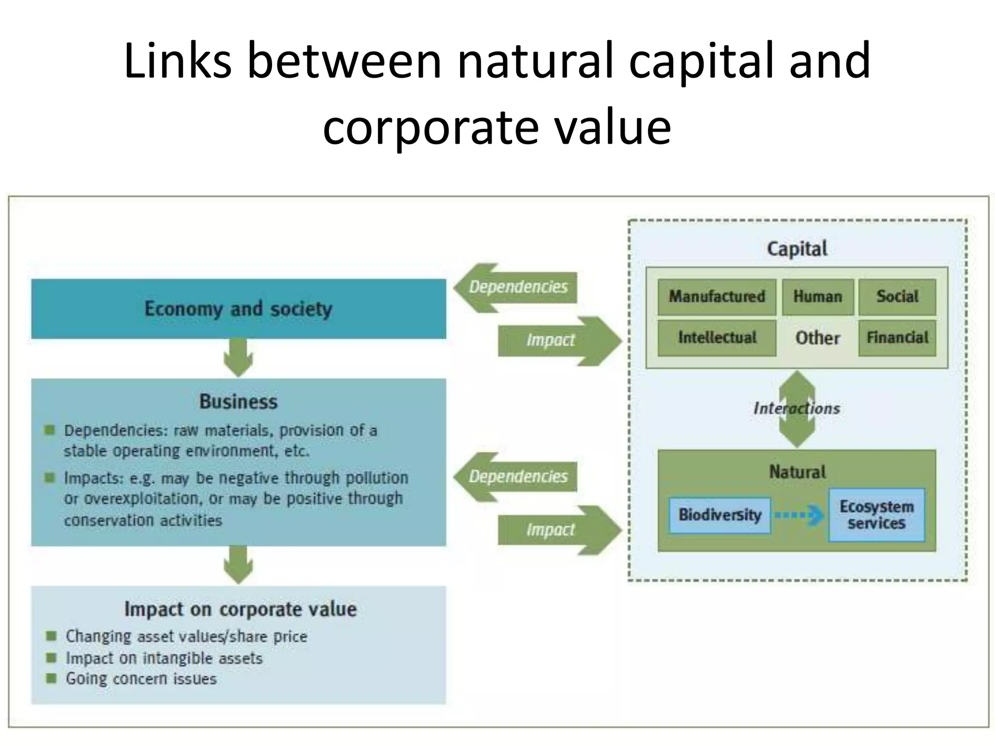 Links between natural capital and
corporate value
 
