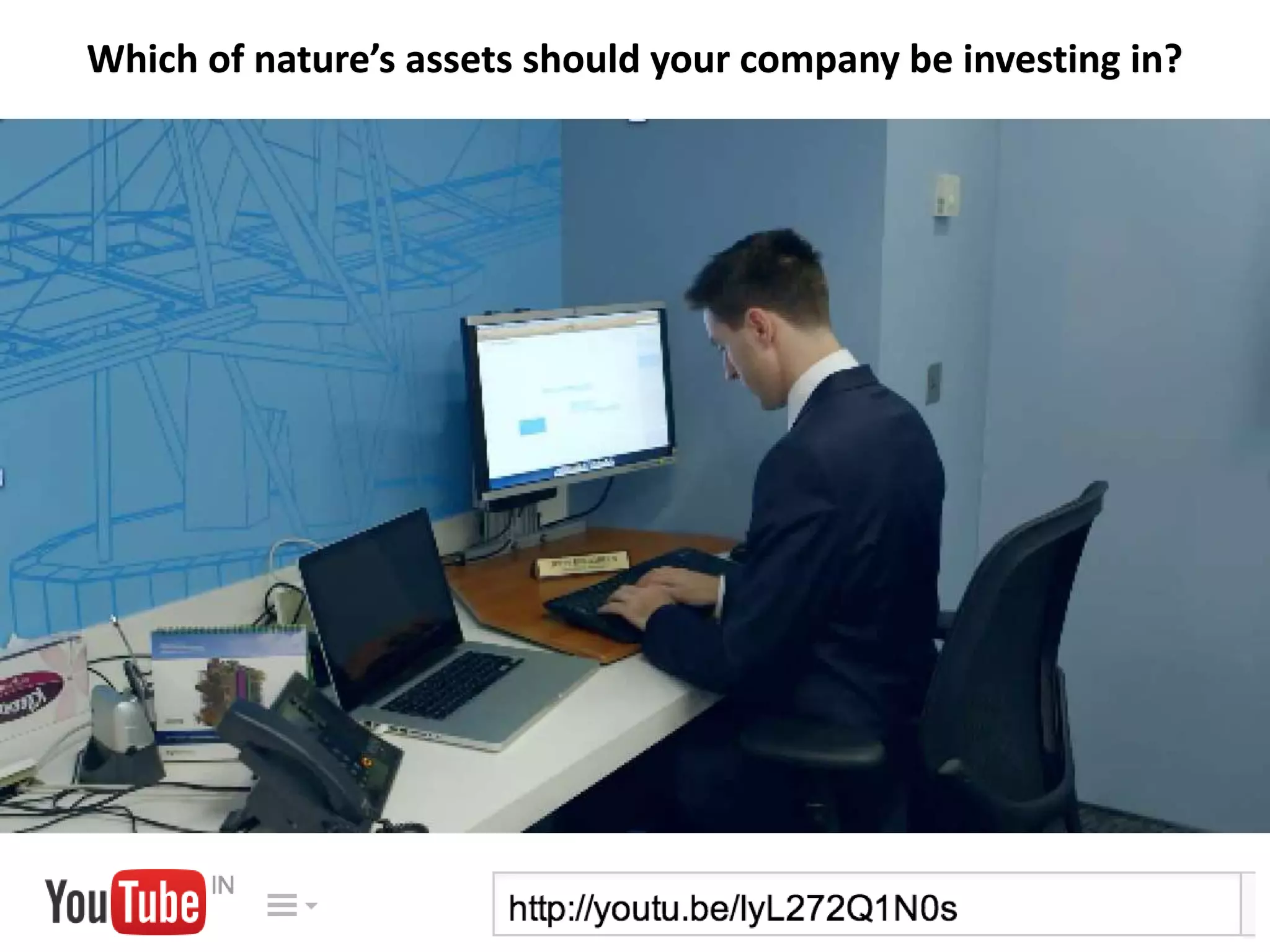 Which of nature’s assets should your company be investing in?
 