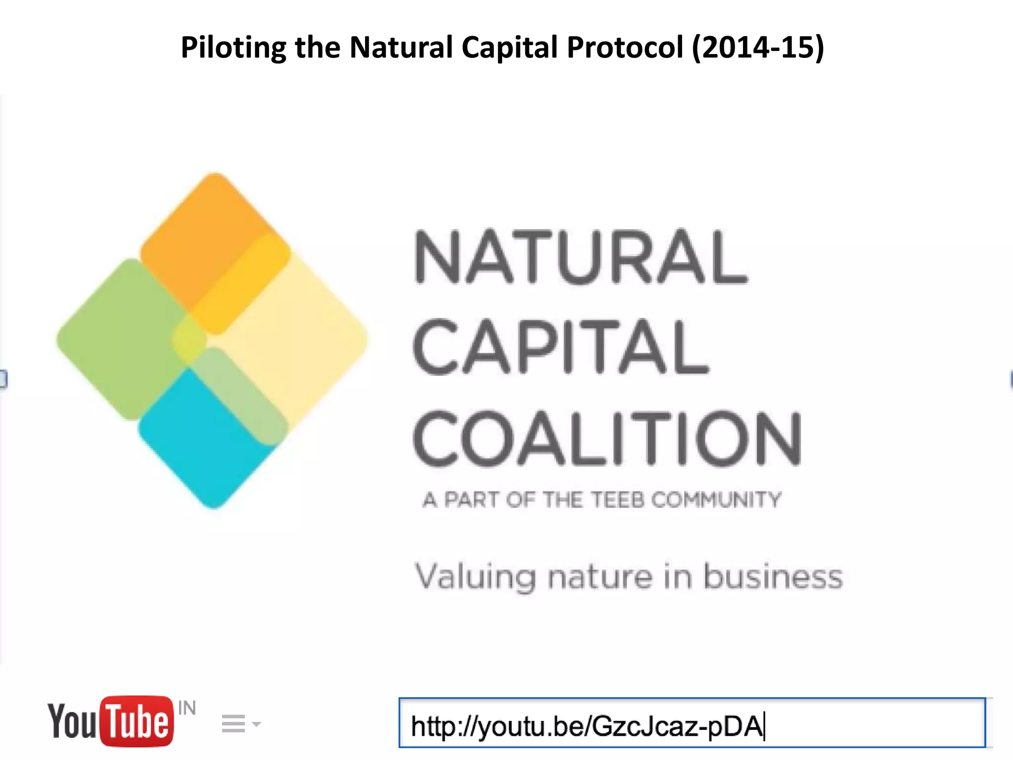 Piloting the Natural Capital Protocol (2014-15)
 