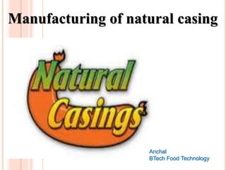 Manufacturing of natural casing
Anchal
BTech Food Technology
 