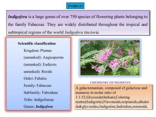 Natural Colors & Dyes.pptaaaaaaaaaaaaaaa