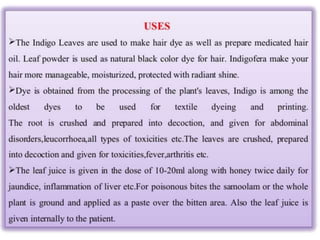 Natural Colors & Dyes.pptaaaaaaaaaaaaaaa