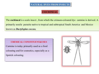 Natural Colors & Dyes.pptaaaaaaaaaaaaaaa