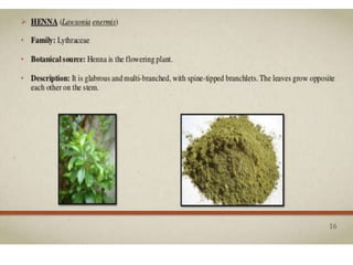 Natural Colors & Dyes.pptaaaaaaaaaaaaaaa