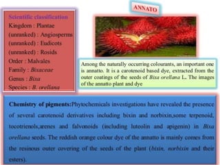 Natural Colors & Dyes.pptaaaaaaaaaaaaaaa