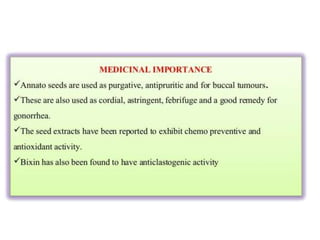 Natural Colors & Dyes.pptaaaaaaaaaaaaaaa