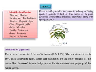 Natural Colors & Dyes.pptaaaaaaaaaaaaaaa