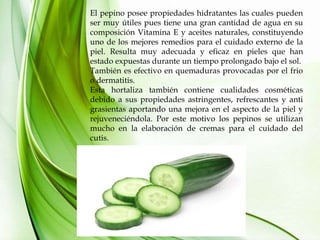 El pepino posee propiedades hidratantes las cuales pueden
ser muy útiles pues tiene una gran cantidad de agua en su
composición Vitamina E y aceites naturales, constituyendo
uno de los mejores remedios para el cuidado externo de la
piel. Resulta muy adecuada y eficaz en pieles que han
estado expuestas durante un tiempo prolongado bajo el sol.
También es efectivo en quemaduras provocadas por el frio
o dermatitis.
Esta hortaliza también contiene cualidades cosméticas
debido a sus propiedades astringentes, refrescantes y anti
grasientas aportando una mejora en el aspecto de la piel y
rejuveneciéndola. Por este motivo los pepinos se utilizan
mucho en la elaboración de cremas para el cuidado del
cutis.
 