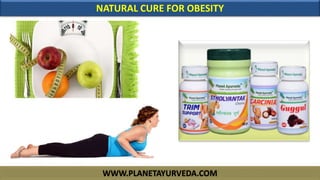 WWW.PLANETAYURVEDA.COM
NATURAL CURE FOR OBESITY
 
