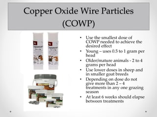 Natural parasite control in small ruminants | PPTX