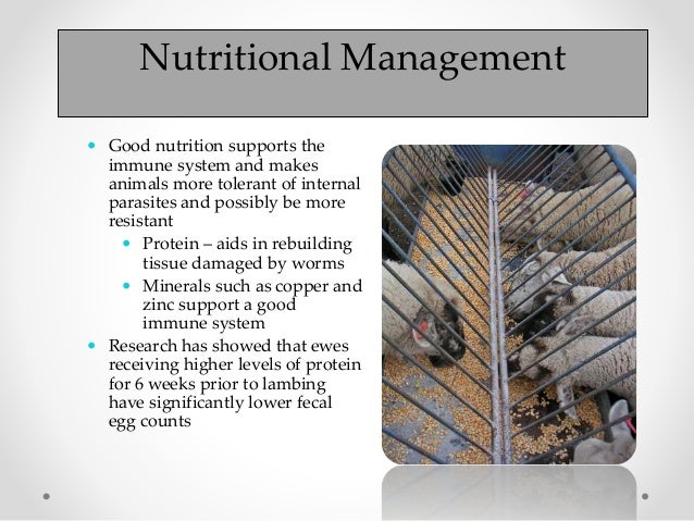 Natural Selection Tend To Decrease Natural Selection Tend To Decrease