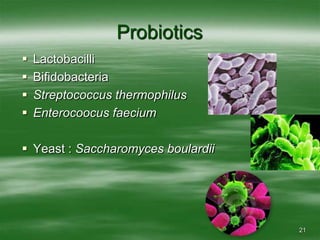 21ProbioticsLactobacilli                                BifidobacteriaStreptococcus thermophilusEnterocoocus faeciumYeast : Saccharomyces boulardii