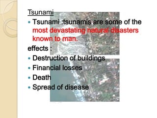 Tsunami Tsunami :tsunamis are some of the most devastating natural disasters known to man.effects :Destruction of buildingsFinancial lossesDeath Spread of disease