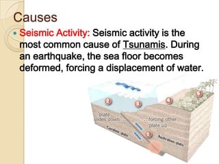 Causes Seismic Activity:Seismic activity is the most common cause of Tsunamis. During an earthquake, the sea floor becomes deformed, forcing a displacement of water. 