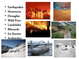 Natural disasters' Impacts & Prevention | PPT