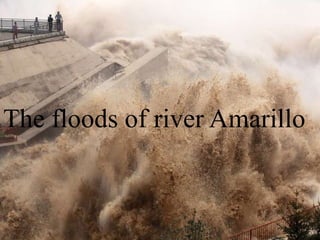 The floods of river Amarillo
 