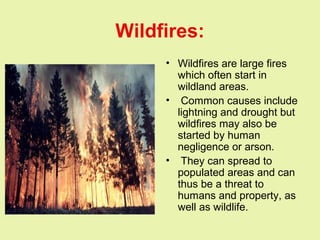 Wildfires:
• Wildfires are large fires
which often start in
wildland areas.
• Common causes include
lightning and drought but
wildfires may also be
started by human
negligence or arson.
• They can spread to
populated areas and can
thus be a threat to
humans and property, as
well as wildlife.
 