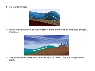  3D tsunami image
 When the wave enters shallow water, it slows down and its amplitude (height)
increases.
 The wave further slows and amplifies as it hits land. Only the largest waves
crest.
 