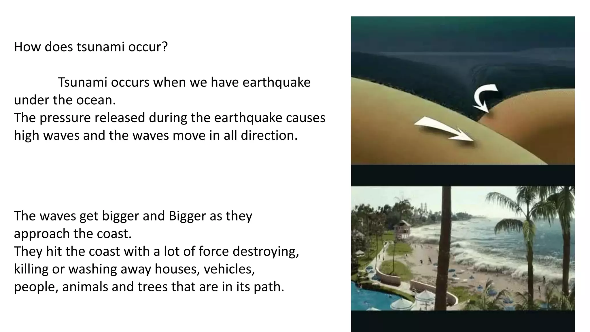 Grade 3 Natural Disaster Pptx