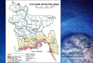 FIGURE:
CYCLONE AFFECTED
AREAS IN BANGLADESH
 