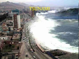 TSUNAMI 