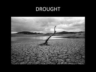 DROUGHT 