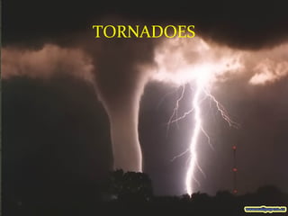 TORNADOES 