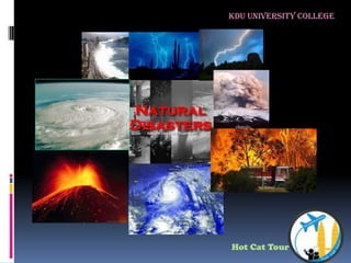 KDU University College Hot Cat Tour 