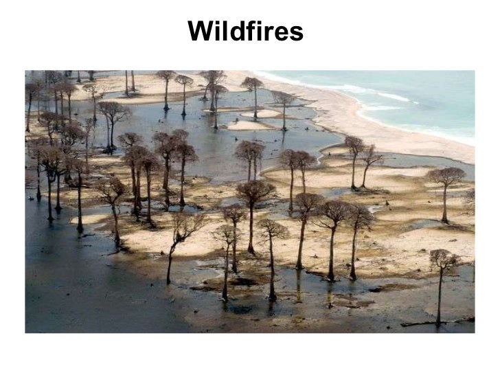 Natural Disasters Death Toll Per Year Natural Disasters Death Toll Per Year