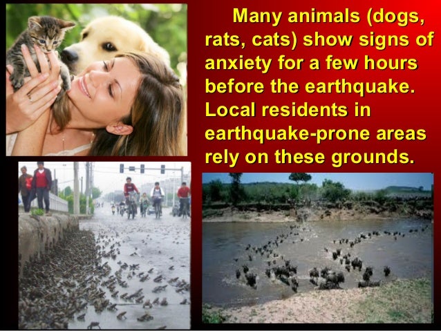 How Many People Of Natural Disasters Injure People How Many People Of Natural Disasters Injure People
