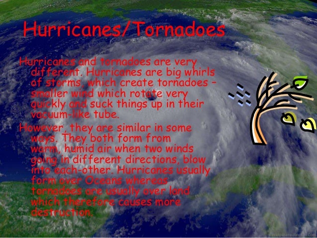 How Many People Die From Natural Disasters Each Year How Many People Die From Natural Disasters Each Year